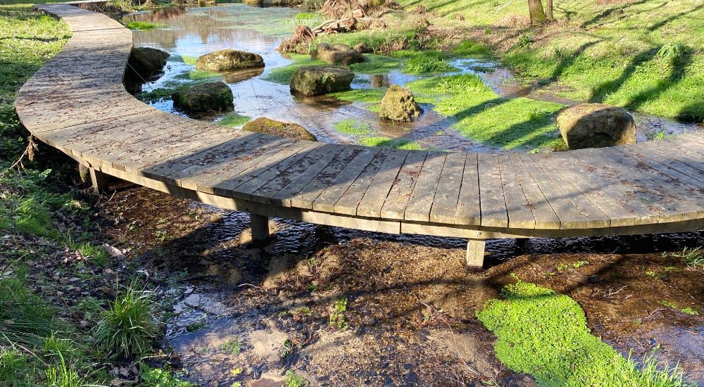 Oak Boardwalk